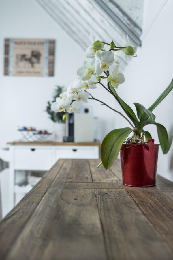 شقة Farmhouse Apartman إغير المظهر الخارجي الصورة
